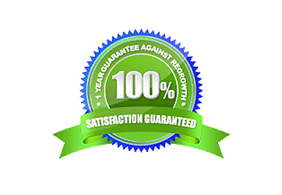 1-Year Guarantee Against Regrowth